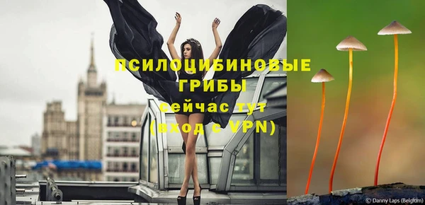 тгк Богородицк