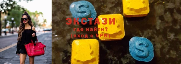 мдпв Богородск