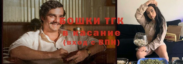 2c-b Богданович