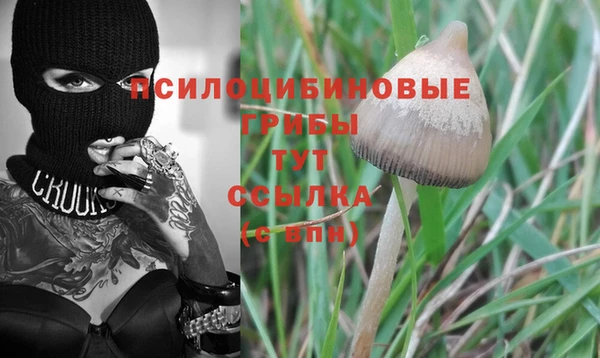 тгк Богородицк