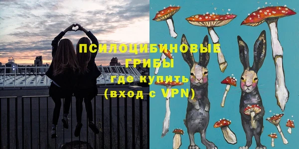 мдпв Богородск