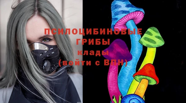 2c-b Богданович