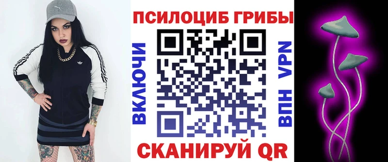 Псилоцибиновые грибы Psilocybine cubensis Донецк